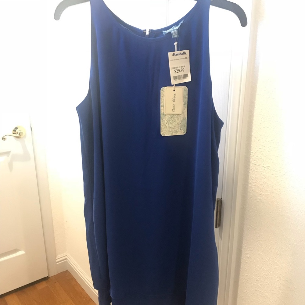 Fleur Bleve Shift Double Layer Dress